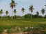 tn 2 Gorgeous wide panoramic countryside view
