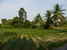 tn 3 Gorgeous wide panoramic countryside view