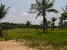 tn 2 Na Jomtien country side, clear land