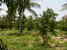 tn 3 Na Jomtien country side, clear land