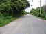 tn 1 Asphalt road at front side,