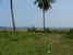 tn 1 Sea views to Wongamart Beach 