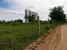 tn 3 Clear land, asphalt road at two sides,