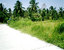 tn 6 Near Takentia School, Takientia