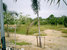 tn 5 Good location for land developer