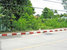 tn 2 2-Rai  East  Pattaya  Land