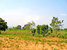 tn 1 Rural  Land  For Development