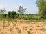 tn 2 Development Land For Project