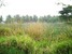 tn 1 Big  Mabprachan  Land  Allotment