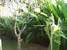tn 2 Modern house very close Na Jomtien Beach