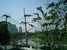 tn 2 Lalana Condo for sale.well maintained, 