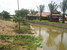 tn 1 Water Front land for sale.