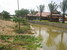 tn 1 Water Front land for sale.