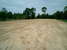 tn 2 Seaboard Properties Exclusive