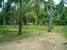 tn 1 Great Land
