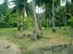 tn 2 Great Land