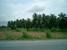tn 1 Charming Land for sale