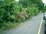 tn 1 Beautiful Land for Sale