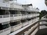 tn 6 4 storey house for sale in Jomtien
