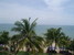 tn 1 Amazing beach front property