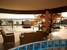 tn 4 Immaculate mansion - Call for a VIP tour
