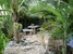 tn 2 Exterior Size 50 Sqm House For Sale