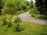 tn 6 235 sqm house for sale in Huey-Yai