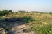 tn 2 18 Sqm land in East Pattaya
