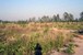 tn 3 18 Sqm land in East Pattaya