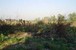 tn 5 18 Sqm land in East Pattaya