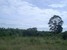 tn 1 Land for sale on East Pattaya, 18 Rai