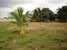 tn 1 813 Twah land for sale 