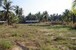 tn 1 131 Sqm land for sale 