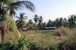 tn 4 131 Sqm land for sale 