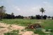 tn 3 Exterior Size 9 Sqm land for sale 