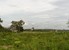 tn 1 160 Twah land for sale in Jomtien