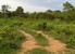 tn 2 160 Twah land for sale in Jomtien