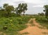 tn 3 160 Twah land for sale in Jomtien