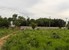 tn 4 160 Twah land for sale in Jomtien