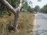 tn 5 Exterior Size 2 Sqm land for sale 