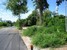 tn 1 200 Twah Land For Sale in South Pattaya 