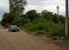 tn 5 Land in Available on Pratamnak area 