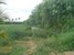 tn 4 4 Rai land for sale in Baan Ampur