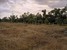 tn 3 Exterior Size 5 Sqm land for sale 