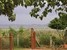 tn 6 Exterior Size 5 Sqm land for sale 