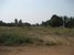 tn 5 6 Rai land for sale in Baan Ampur