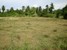 tn 3 Exterior Size 2 Rai land for sale 