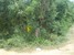 tn 1 Land for sale in Baan Ampur