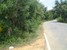 tn 2 Land for sale in Baan Ampur
