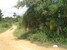 tn 3 Land for sale in Baan Ampur